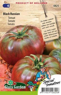 Tomate Black Russian (Solanum) 60 Samen